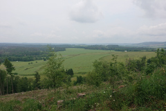 IMG_20250602_110732
