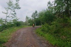IMG_20250602_110735