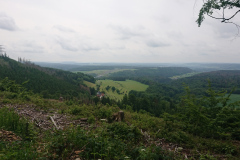 IMG_20250602_111039