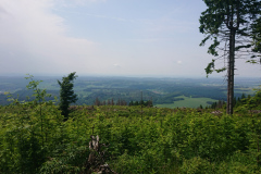 IMG_20250602_122224