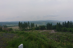IMG_20250602_122402