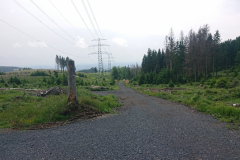 IMG_20250602_122537