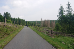 IMG_20250602_122846