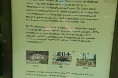 IMG_20250602_123626