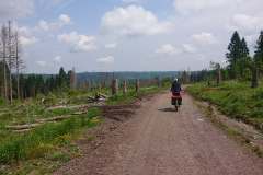 IMG_20250602_124441