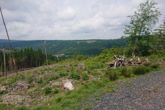 IMG_20250602_130010