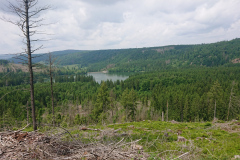 IMG_20250602_130221