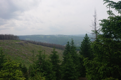 IMG_20250602_145958