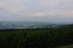 IMG_20250602_150348