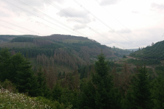 IMG_20250602_153703