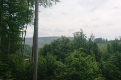 IMG_20250602_154556