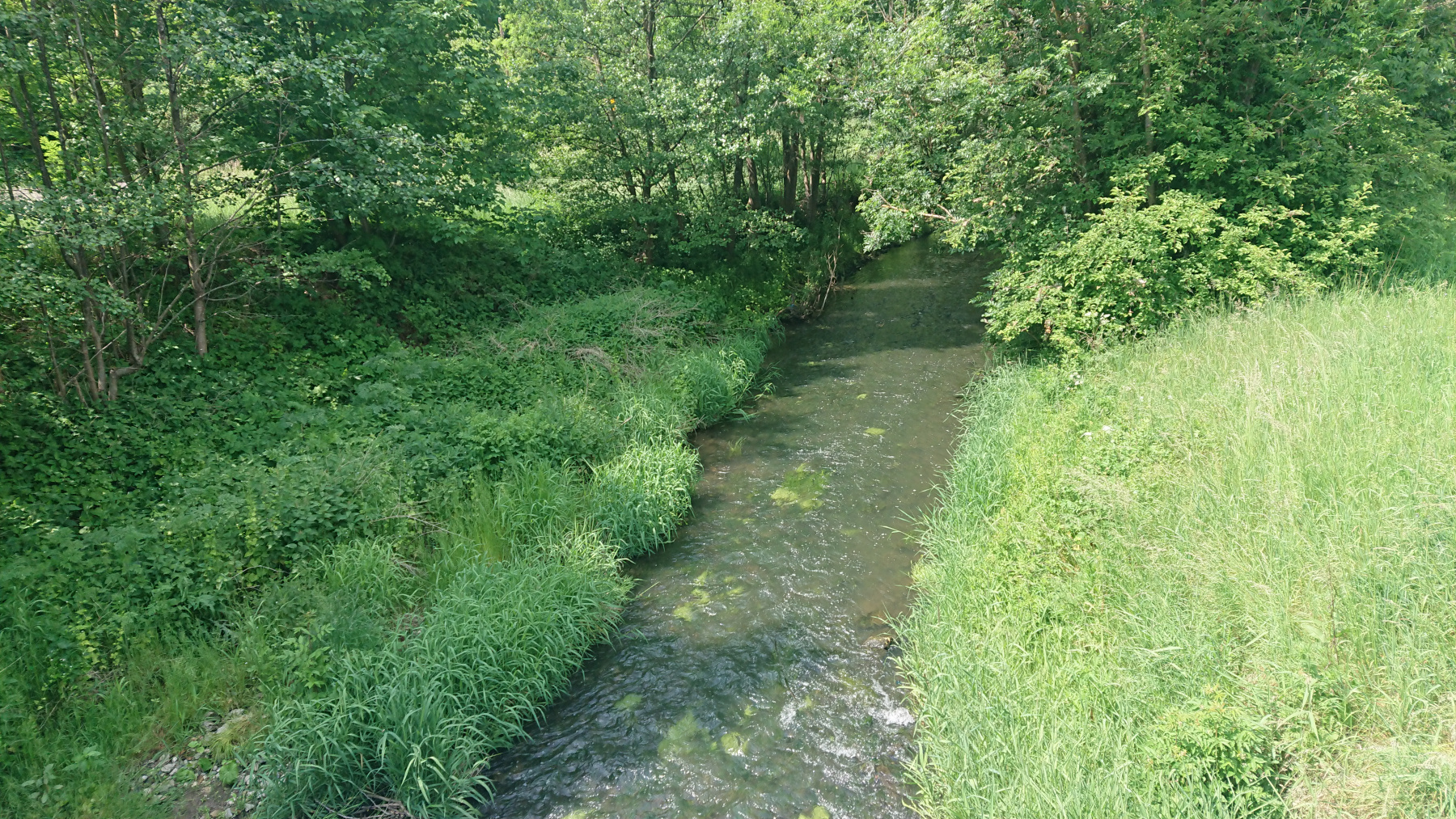 IMG_20250603_115058