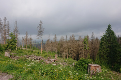 IMG_20250603_092422