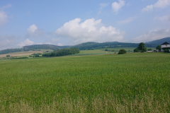 IMG_20250603_101315