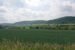 IMG_20250603_114748