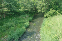 IMG_20250603_115058