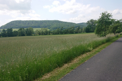 IMG_20250603_125733