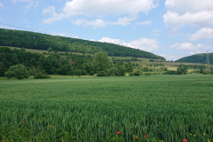 IMG_20250603_132804