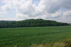 IMG_20250603_141124
