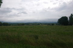 IMG_20250604_101821