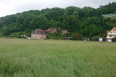 IMG_20250604_103101