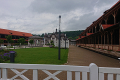 IMG_20250604_103356