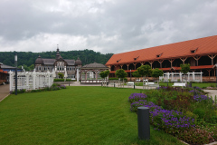IMG_20250604_103528