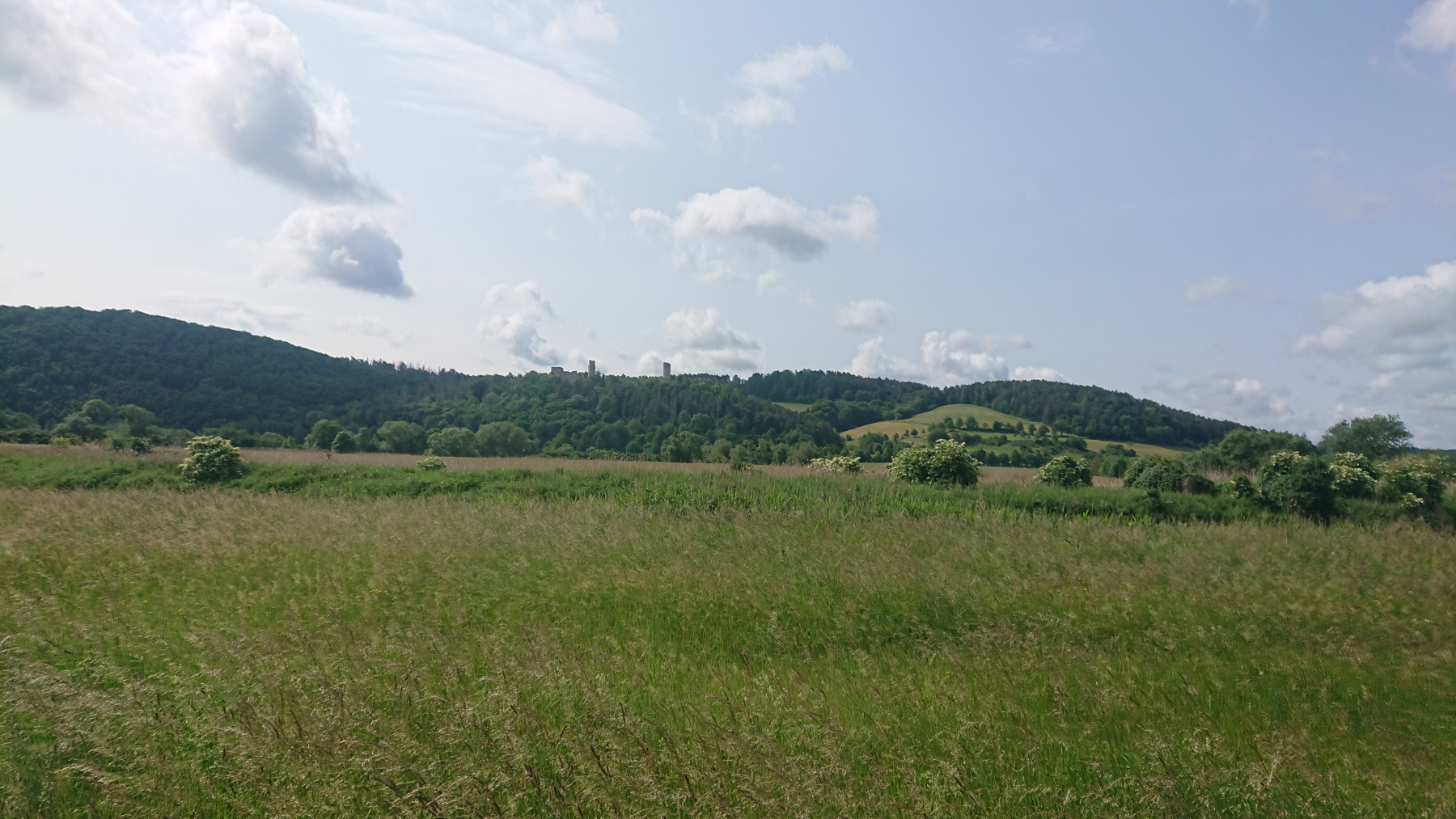 IMG_20250605_102048