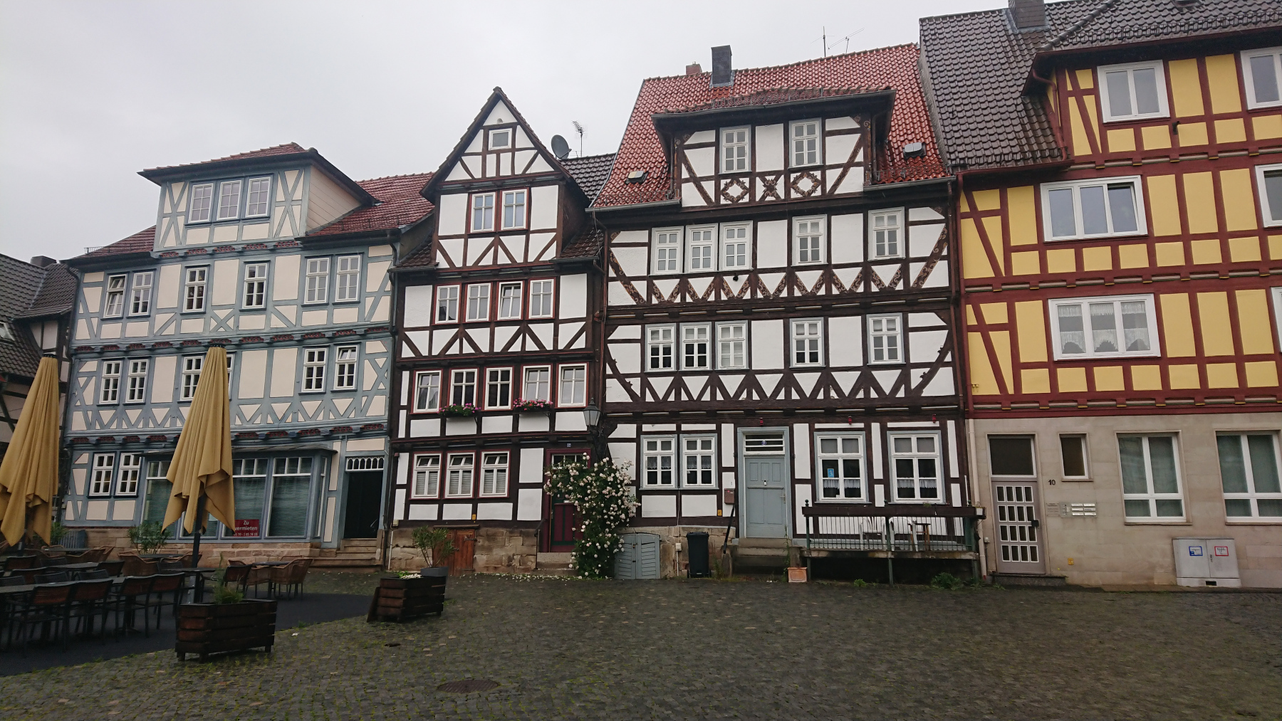 IMG_20250606_091856