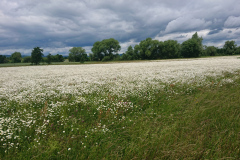 IMG_20250606_121720