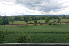IMG_20250606_143115