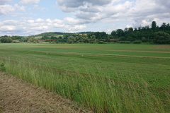 IMG_20250606_145426