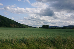 IMG_20250606_162539