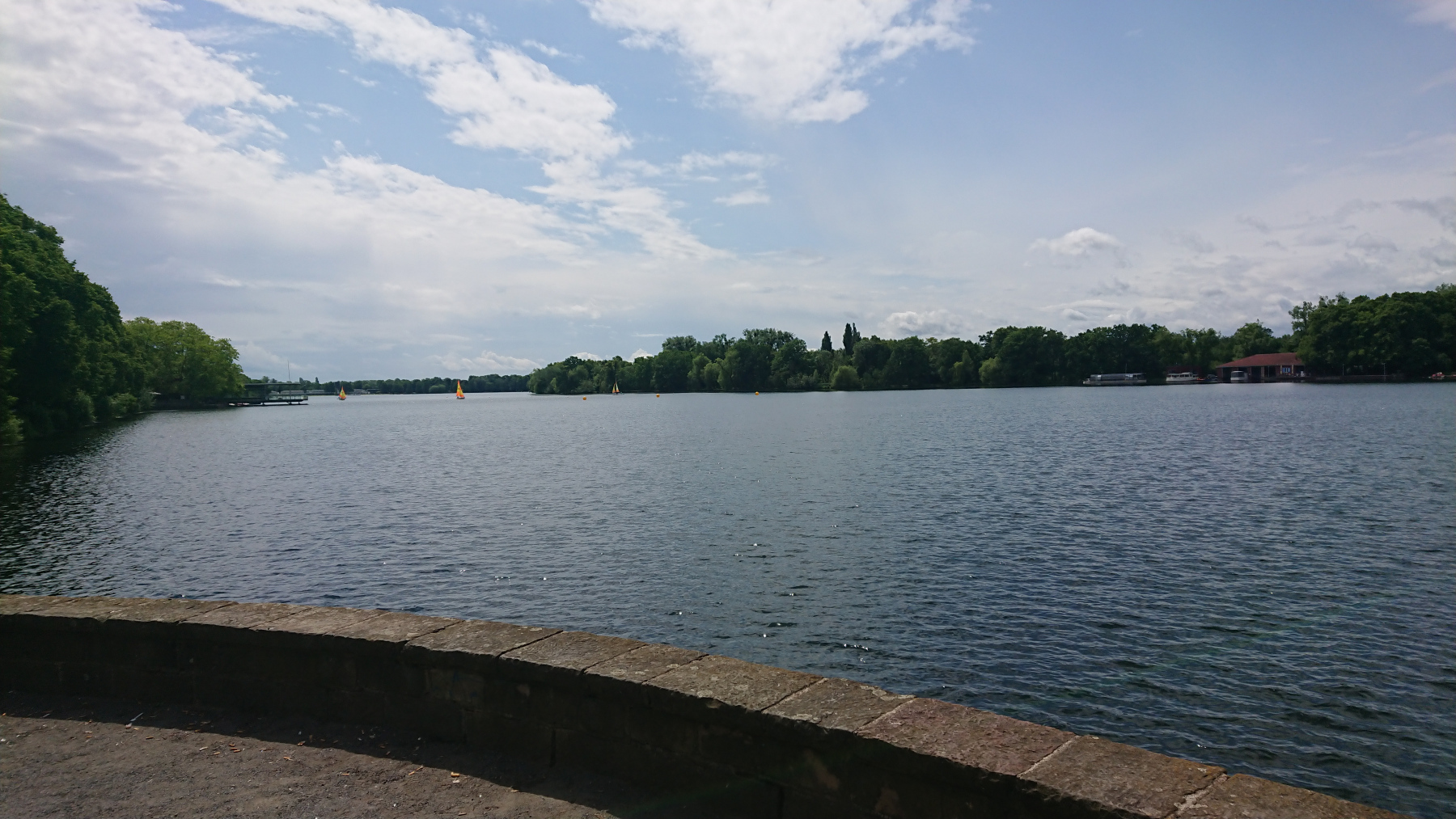 IMG_20250607_122408