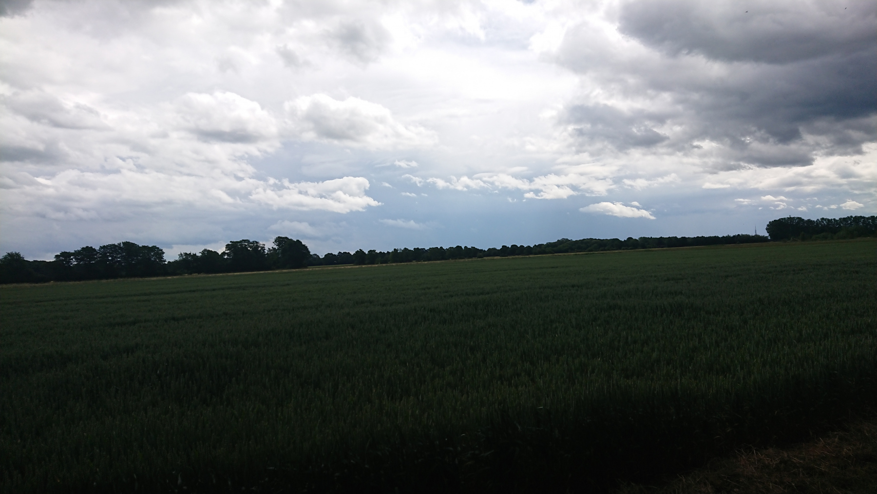 IMG_20250607_132621