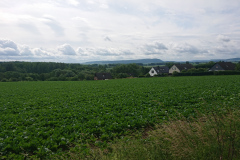 IMG_20250607_101748