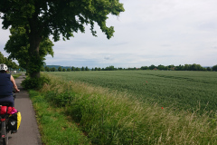IMG_20250607_101859