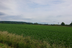 IMG_20250607_102347