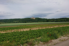 IMG_20250607_103620