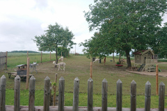 IMG_20250607_105948