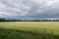IMG_20250607_132256