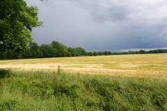 IMG_20250607_154300